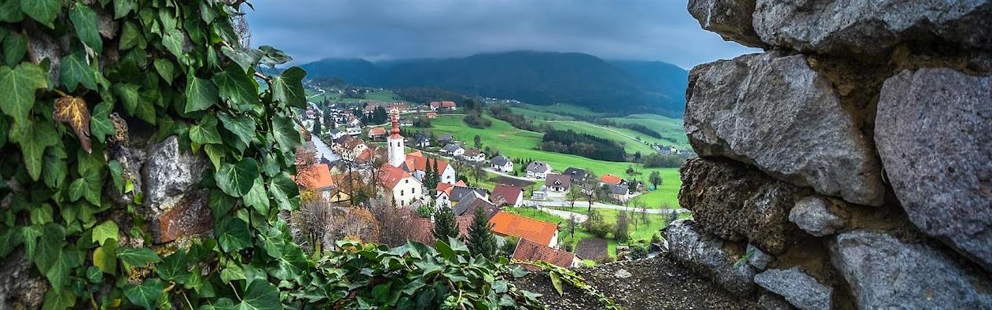 Planina
